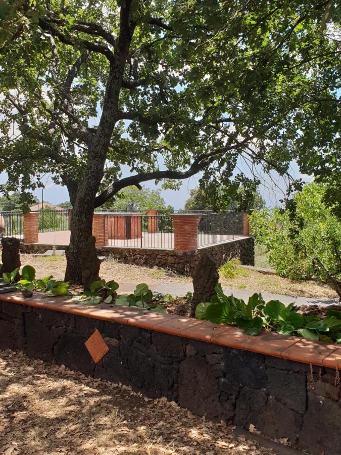 Alle Pendici Dell'Etna Ragalna Eksteriør billede